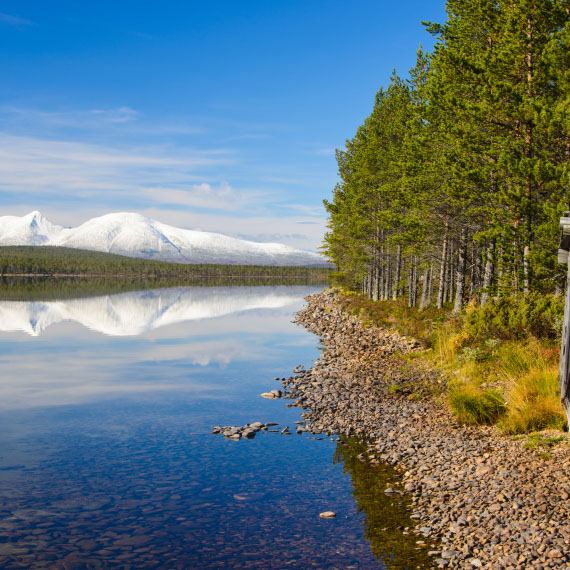 Single Damer i Hedmark